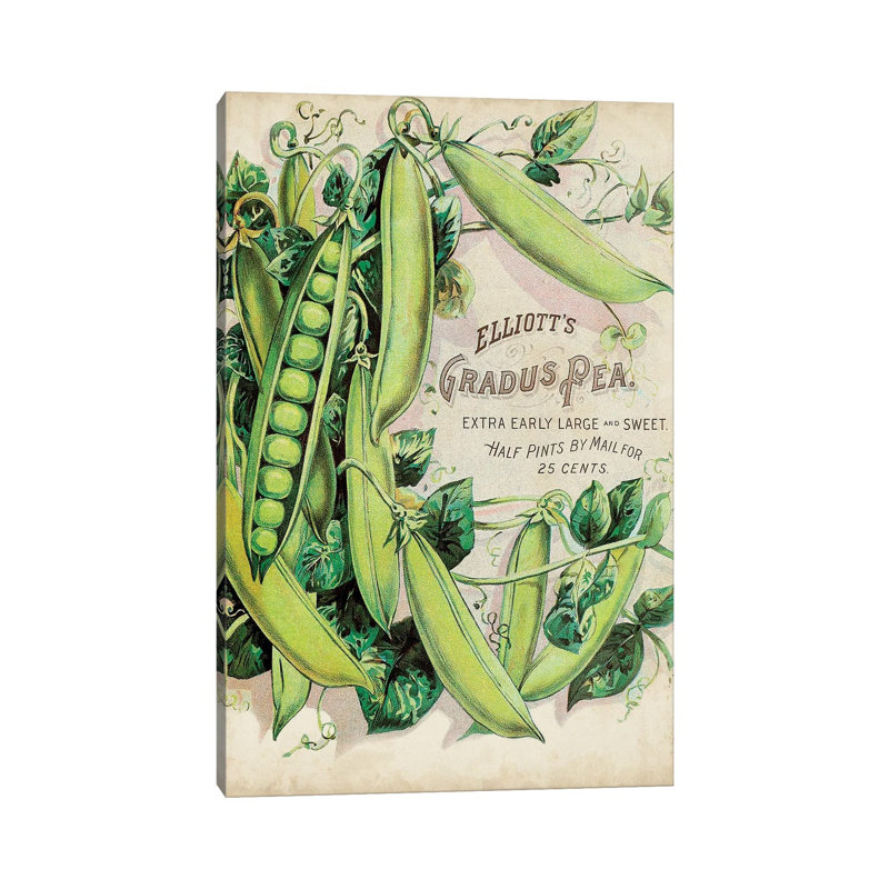 Antique Seed Packets V - Wrapped Canvas Print, 45.72cm H x 30.48cm W x 1.91cm D