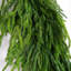Guirlande Norfolk-1827534243-1827534247