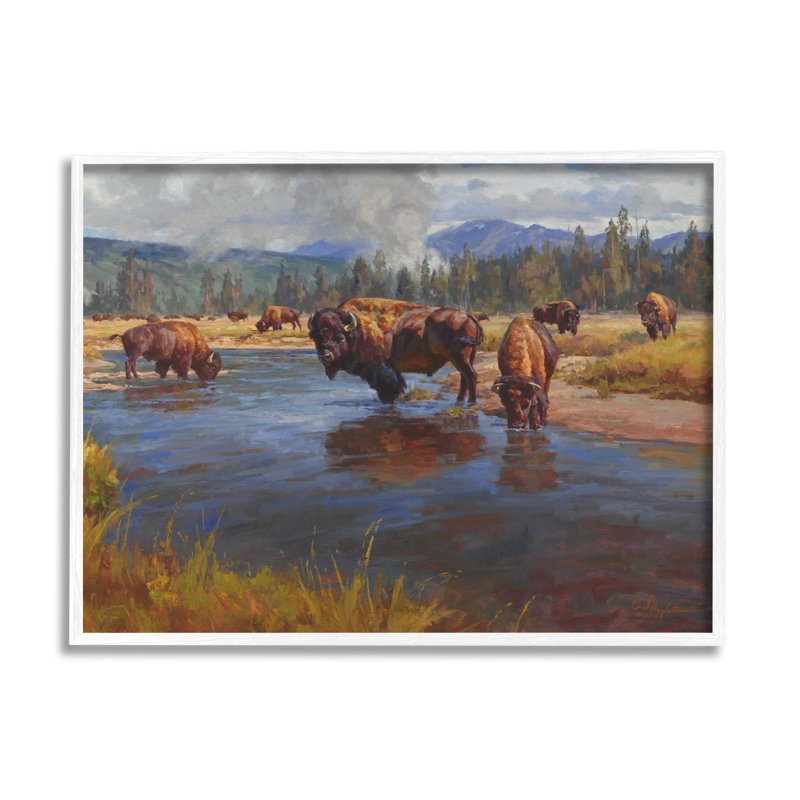 Bison Herd By River par © Chad Poppleton, H 11 po x l 14 po x P 1,5 po, Giclée encadrée noir minuit