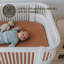 Cotton 2 - Piece Cot Fitted Sheet-1391794316-1391794317