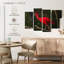 Oiseau rouge Brampt