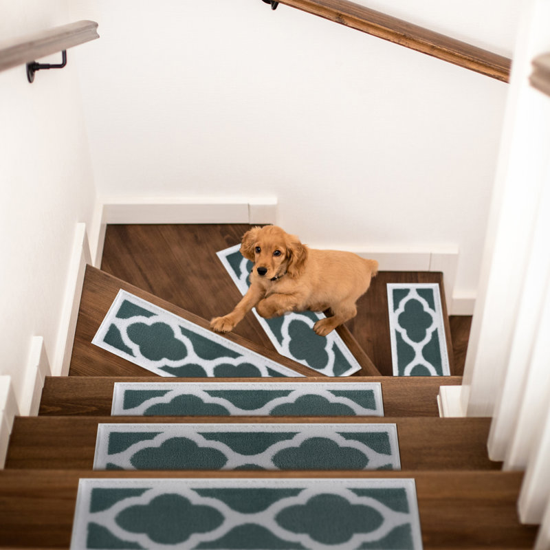 Tapis d'escalier, Sarcelle