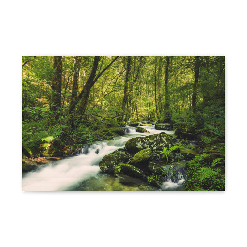 No Frame Print on Canvas, 16cm H x 20cm W
