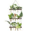 Terrarium mural à 3 niveaux avec support en bois-184369397
