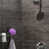 Ashen Slate