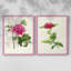 Impression encadrée PrettyPinkBotanicalsI-Premium - prête à être accrochée - aucun clou requis - aucun clou requis-1909328020-1909328021
