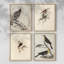 «Vintage Animal Print», 4 pièces sur papier