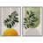 White Floater Framed