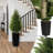 Faux Cedar Tree In Black Pot-UV Rated Potted Plant for Home Decor Outdoor or Indoor-2080438716