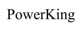 Logo PowerKing