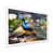 White Single Picture Framed