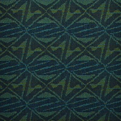 Tissu aala Jalene Kanani Exclusively