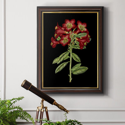 Fleurs cramoisies sur fond noir (A) IV - Peinture sur toile encadrée