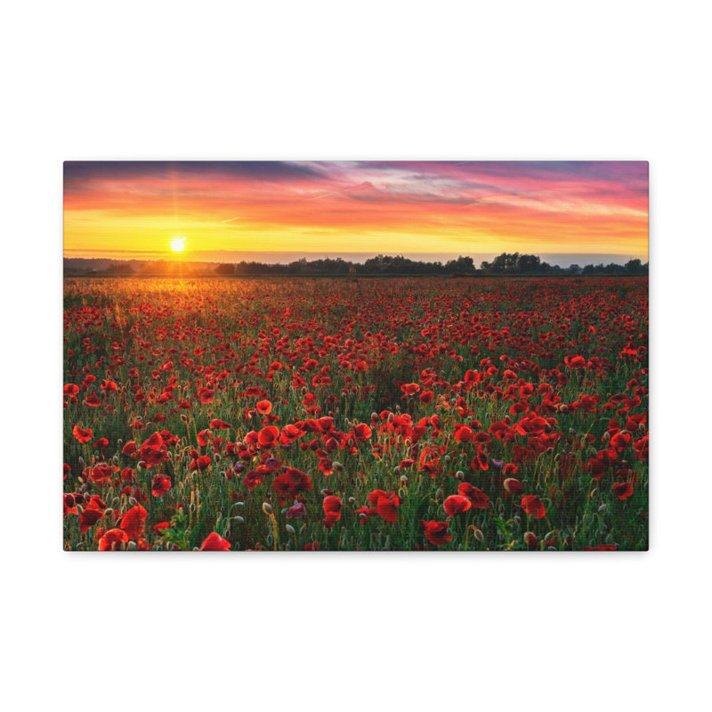 No Frame Print on Canvas, 12cm H x 18cm W