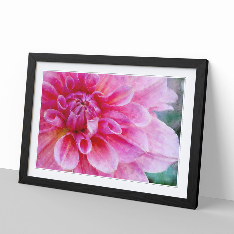 Pink Flower in Blossom - Framed Print, 27cm H x 36cm W x 2cm D, Black Framed