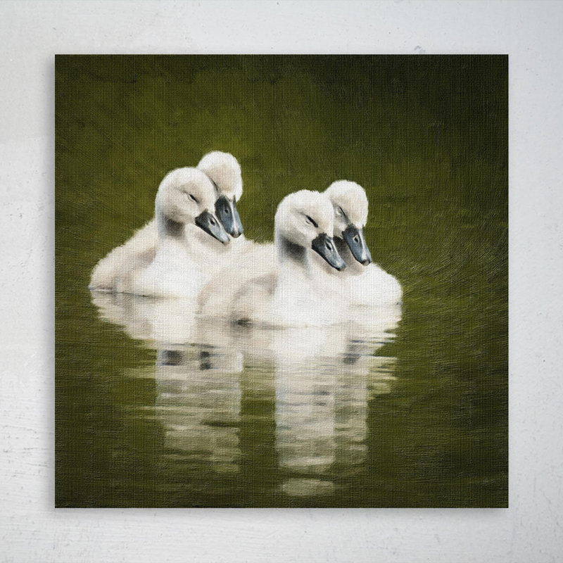 Cygne blanc sur l'eau pendant la journée 10 - 1 pièce, reproduction d'art graphique sur toile tendue