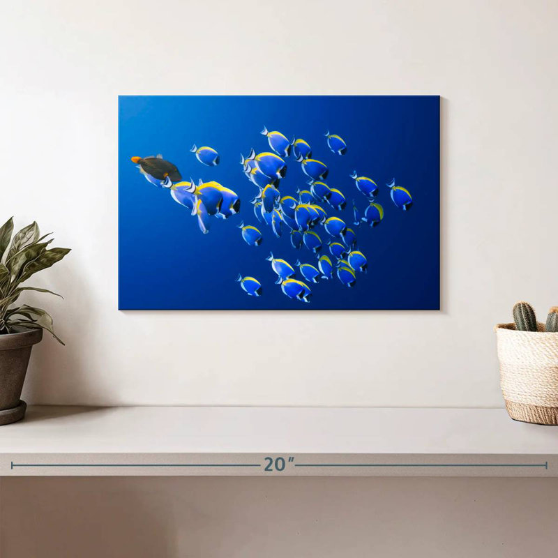 Brampt Underwater Blue Tangs, 8" H x 12" W