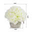 Arrangement floral d'hortensias en pot-1686592748