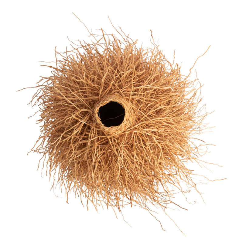 12" Vetiver Decorative Sculpture