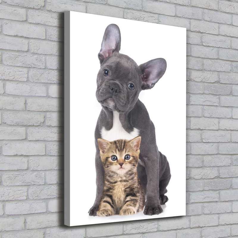 Dog And Cat - Wrapped Canvas Print