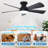 42" Black Modern Ceiling Fan with Light and Remote  for Bedroom-774857213-774857214-774857208