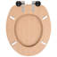 Zierikzee Soft Close Elongated Standard Toilet Seat