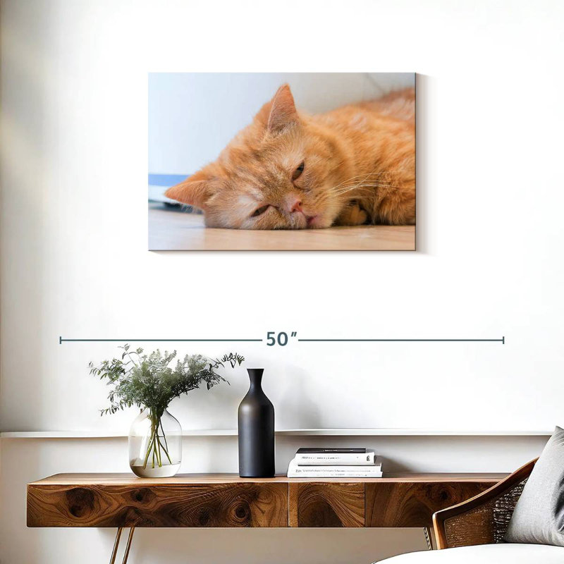 Crowle Sleeping Cat, 20" H x 30" W