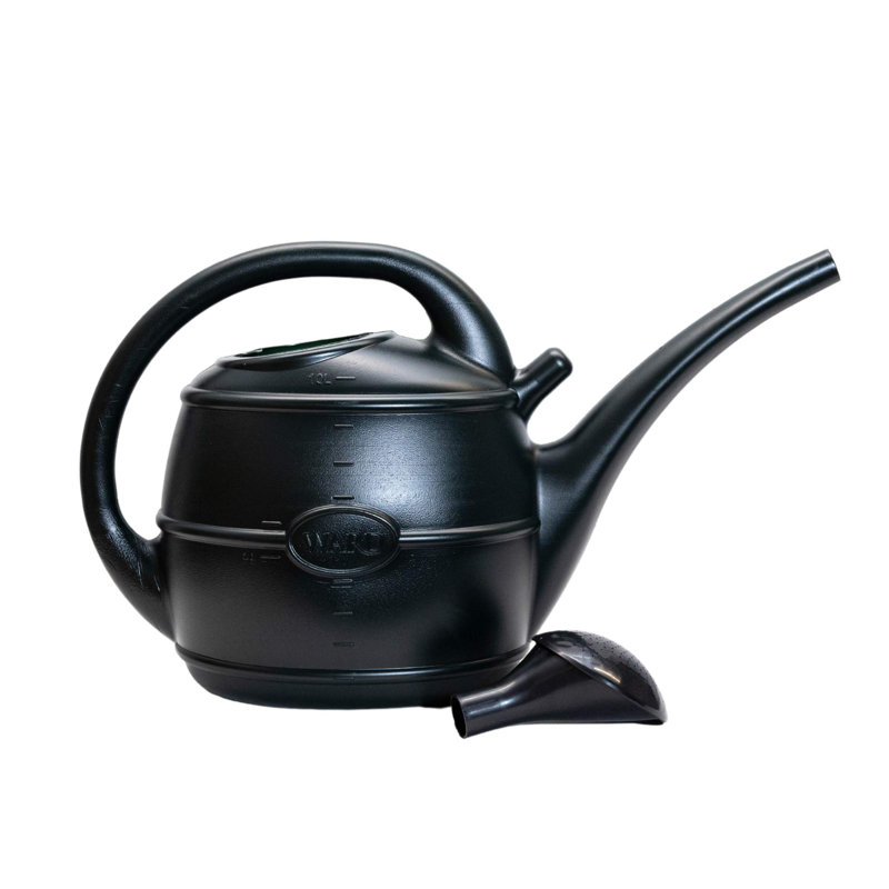Caziyah Watering Can, 61cm H x 20cm W x 33cm D, Green