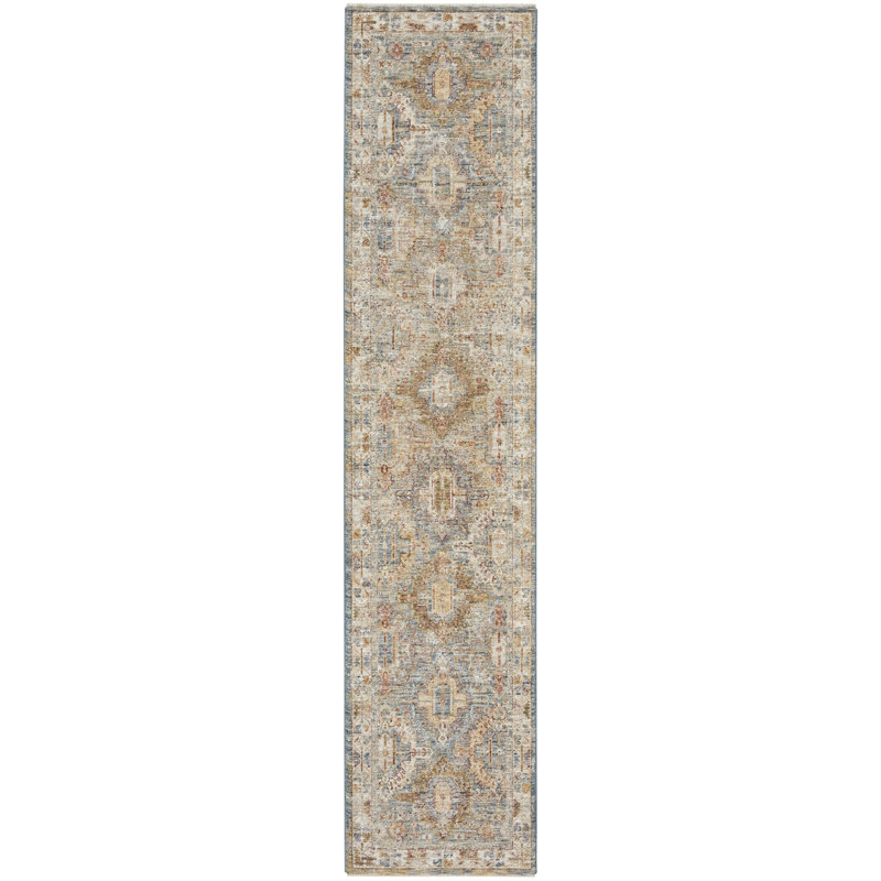 Cyrielle Oriental Area Rug, Runner 69 x 310cm