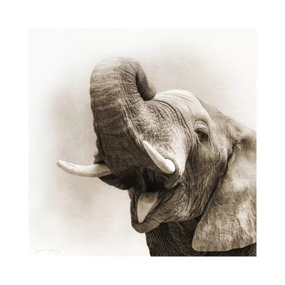 African Elephant Closeup Square Sepia by Susan Schmitz - Wrapped Canvas Gallery-Wrapped Canvas Giclée