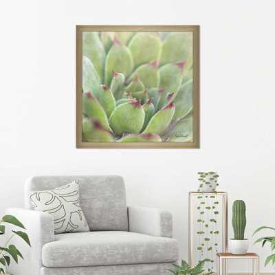 « jardin plantes grasses i color », reproduction de photo sur toile encadrée en vert