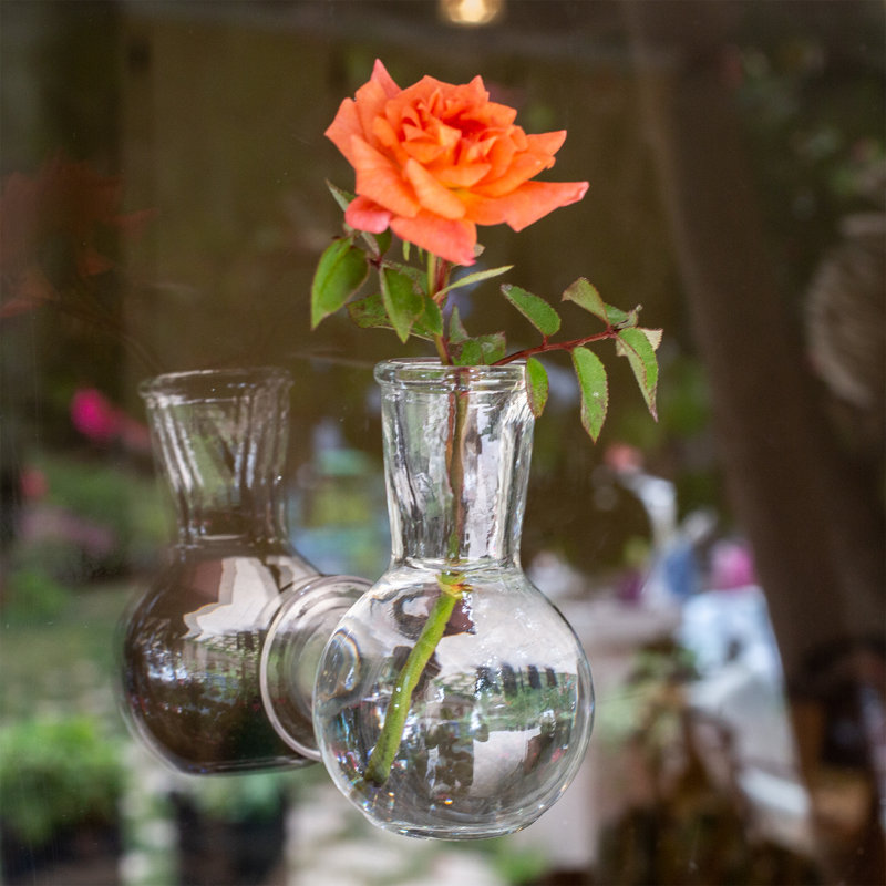 Glass Wall Vase