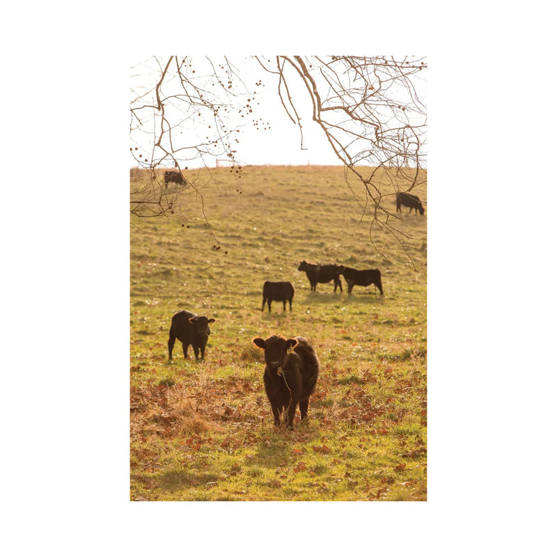 Fall Field II by Aledanda - Print on Canvas, Wrapped Canvas, 30.48cm H x 20.32cm W x 1.91cm D
