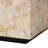 Fraley Capiz Shell Coffee Table with Plinth Base