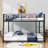 Alican Steel Standard Bunk Bed by Isabelle & Max™-668568533