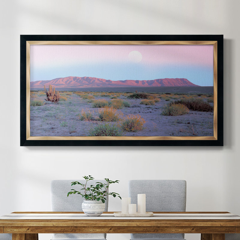 «Vallenar Atacama Desert», reproduction d'un seul cadre photo sur toile, H 25 po x l 45 po x P 2,5 po