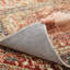 Caetlin Area Rug-219482538