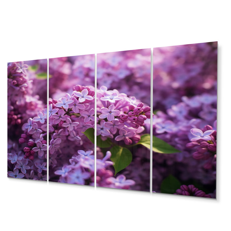 Ensemble de décoration murale lilas mauve