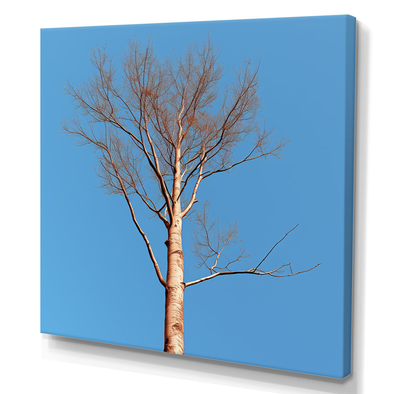 «Blue Timbers Trace Photo», art mural sur toile d'arbre, salon, Toile tendue, H 24 po x l 24 po x P 1 po