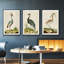 Heron Portrait I, ensemble de 3 toiles encadrées-97792276-97792283