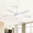 Whisper 52" 5 ABS Blade Propeller Classic Ceiling Fan with LED Lights and Remote Control-650897668