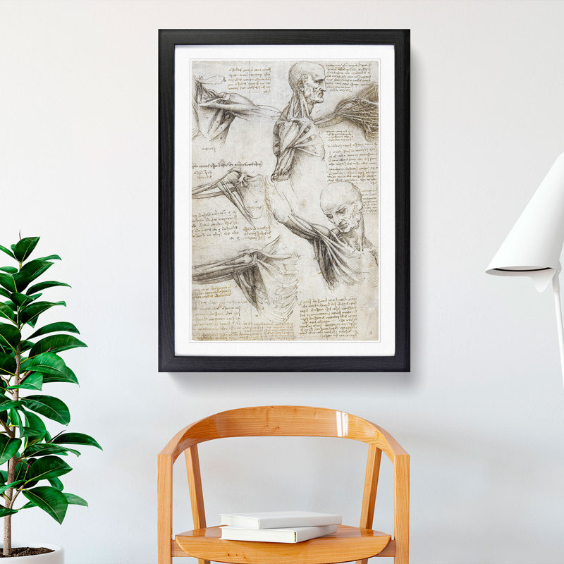 Human Anatomy Vol.3 by Leonardo Da Vinci - Picture Frame Drawing, Black Framed, 48cm H x 36cm W x 2cm D