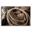 «Cowgirls Lasso» par Lisa Dearing-723770628
