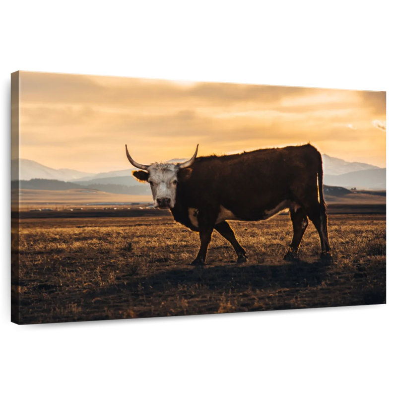 Brampt Looking Bull, 8" H x 12" W