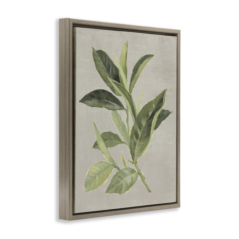 Cadre flottant feuille de thé vert, design par Lanie Loreth, Cadre flottant orme Montalcino, H 21 po x l 17 po