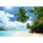 Coastal Beachy Border-93997067