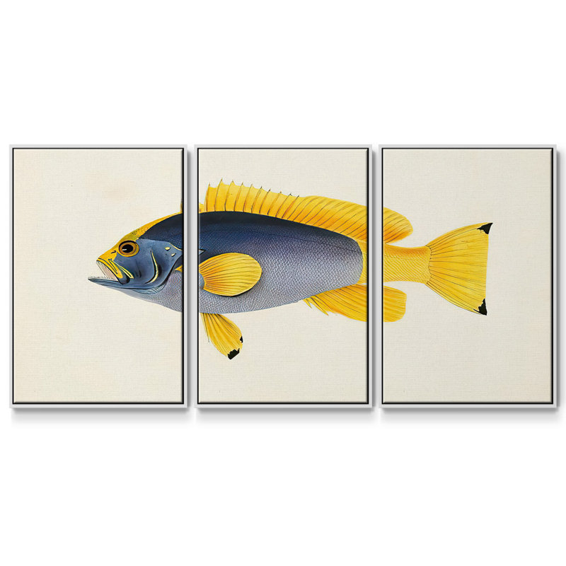 Collection de poissons tropicaux V 3 pièces, H 40 po x l 78 po x P 2 po, Blanc