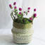 Laundry Basket with Handles-1657022116