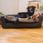 Canapé pour chien Ozzie-1220700788-1220700791