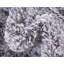 Dekayla Shag Area Rug-831954928